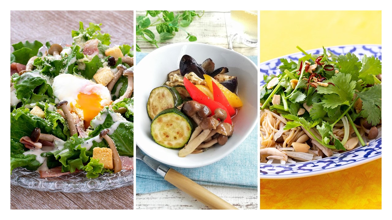 菌ツマ特集 夏におすすめ サラダにもプラスきのこ なかのきのこ新聞web