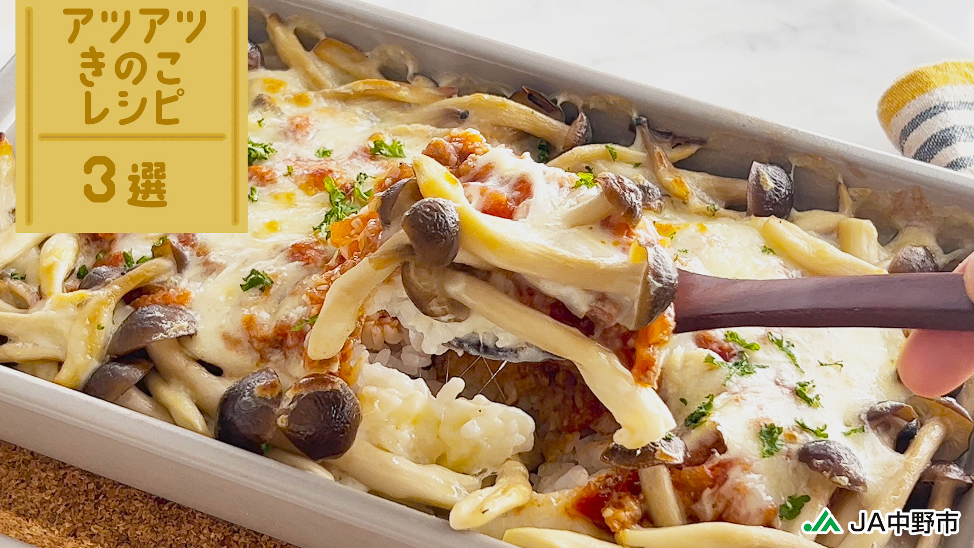 【本日更新YouTube】寒い日に食べたくなる！アツアツきのこレシピ3選